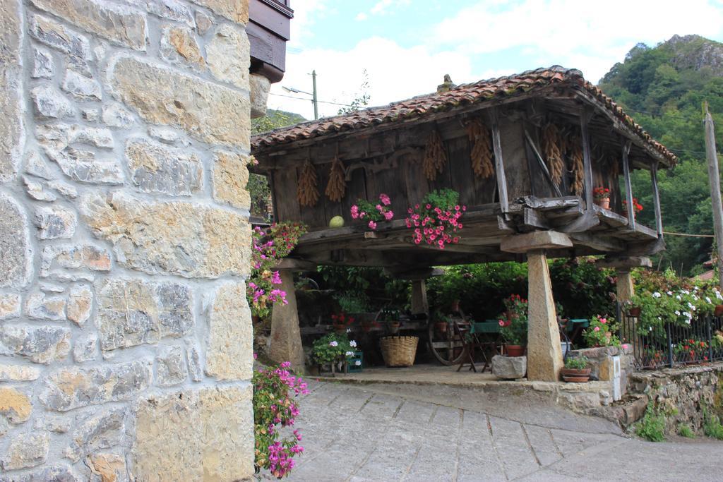 El Colladín Llerices Quarto foto